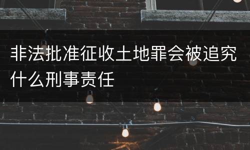 非法批准征收土地罪会被追究什么刑事责任