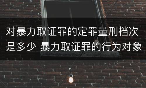 对暴力取证罪的定罪量刑档次是多少 暴力取证罪的行为对象是