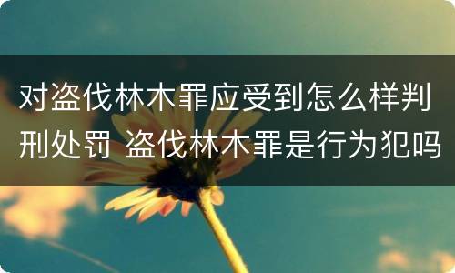 对盗伐林木罪应受到怎么样判刑处罚 盗伐林木罪是行为犯吗