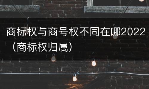 商标权与商号权不同在哪2022（商标权归属）