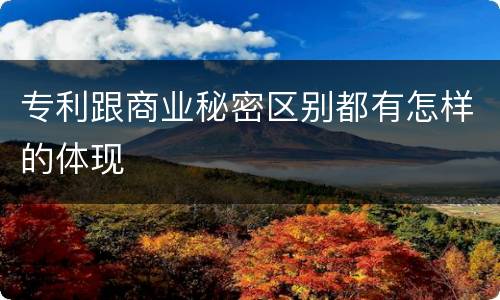 专利跟商业秘密区别都有怎样的体现