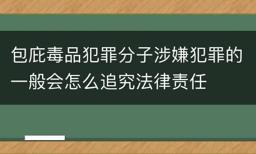 包庇毒品犯罪分子涉嫌犯罪的一般会怎么追究法律责任