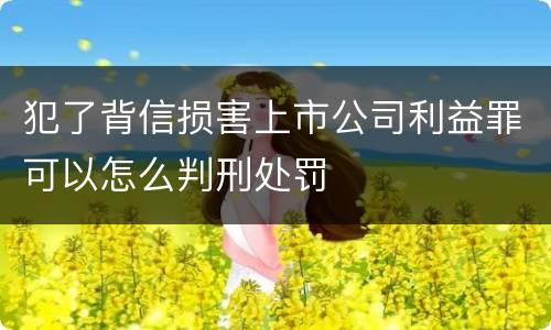 犯了背信损害上市公司利益罪可以怎么判刑处罚