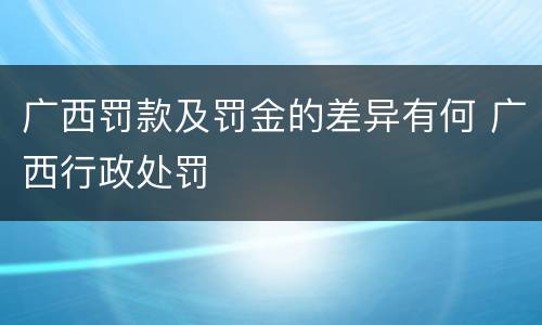 广西罚款及罚金的差异有何 广西行政处罚