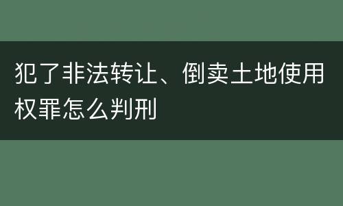 犯了非法转让、倒卖土地使用权罪怎么判刑
