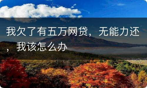 我欠了有五万网贷，无能力还，我该怎么办