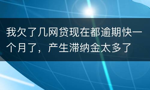 我欠了几网贷现在都逾期快一个月了，产生滞纳金太多了