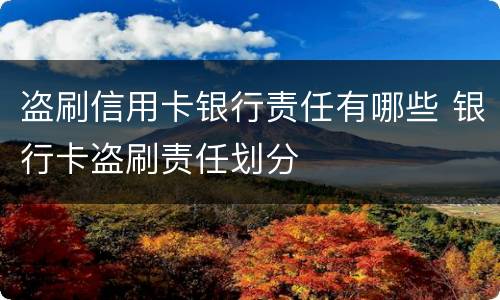 盗刷信用卡银行责任有哪些 银行卡盗刷责任划分