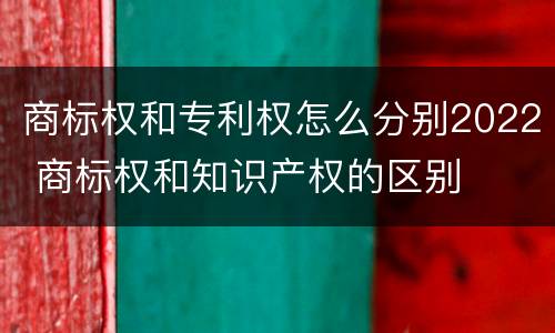 商标权和专利权怎么分别2022 商标权和知识产权的区别