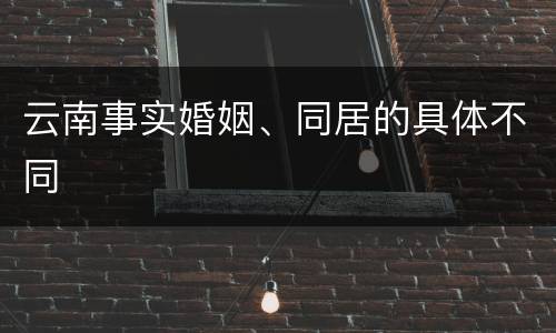 云南事实婚姻、同居的具体不同