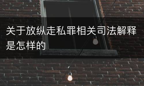 关于放纵走私罪相关司法解释是怎样的