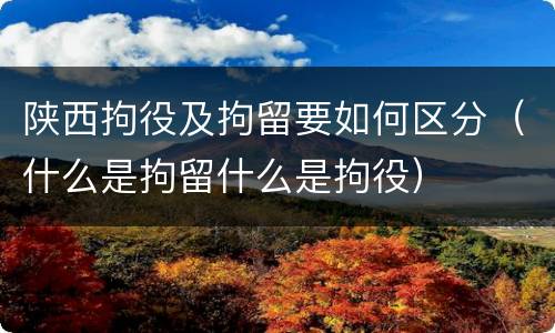 陕西拘役及拘留要如何区分（什么是拘留什么是拘役）