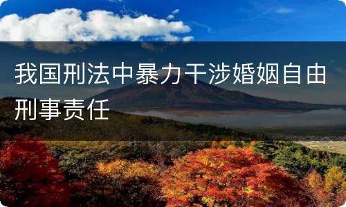 我国刑法中暴力干涉婚姻自由刑事责任