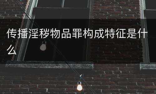 传播淫秽物品罪构成特征是什么