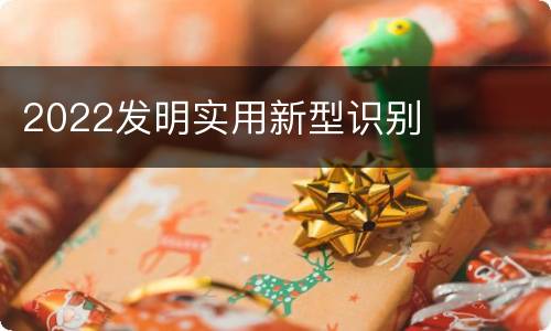 2022发明实用新型识别