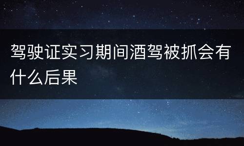 驾驶证实习期间酒驾被抓会有什么后果