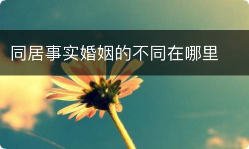 同居事实婚姻的不同在哪里