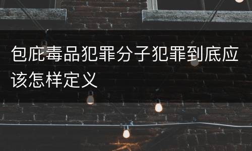 包庇毒品犯罪分子犯罪到底应该怎样定义