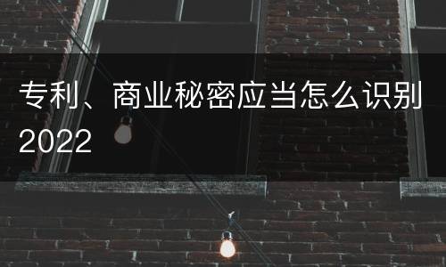 专利、商业秘密应当怎么识别2022