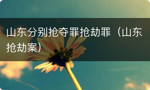 山东分别抢夺罪抢劫罪（山东抢劫案）