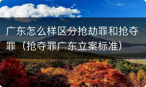 广东怎么样区分抢劫罪和抢夺罪（抢夺罪广东立案标准）