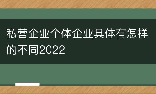 私营企业个体企业具体有怎样的不同2022
