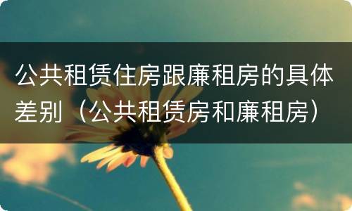 公共租赁住房跟廉租房的具体差别（公共租赁房和廉租房）