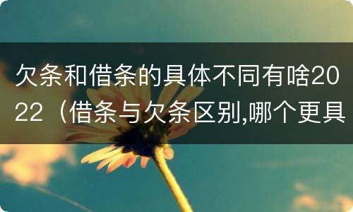 欠条和借条的具体不同有啥2022（借条与欠条区别,哪个更具法律）