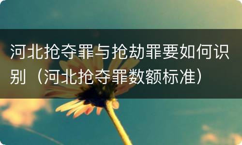 河北抢夺罪与抢劫罪要如何识别（河北抢夺罪数额标准）