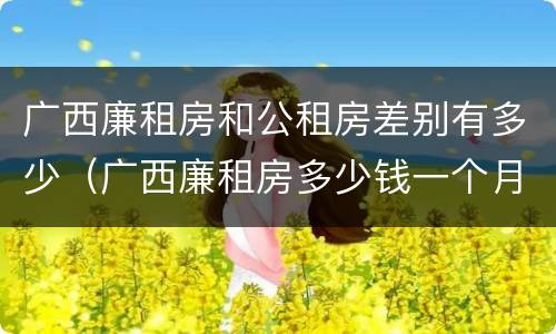 广西廉租房和公租房差别有多少（广西廉租房多少钱一个月）