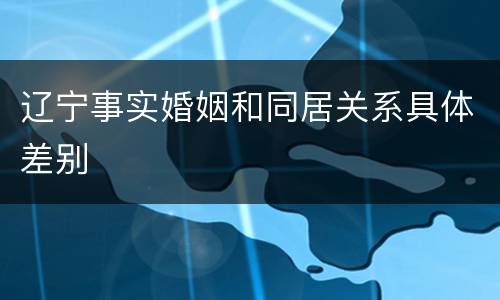 辽宁事实婚姻和同居关系具体差别