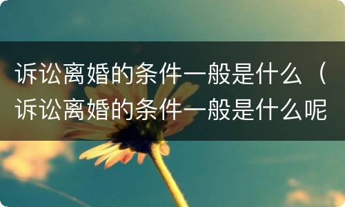 诉讼离婚的条件一般是什么（诉讼离婚的条件一般是什么呢）