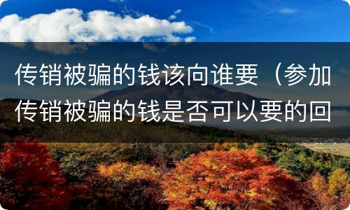 传销被骗的钱该向谁要（参加传销被骗的钱是否可以要的回来）
