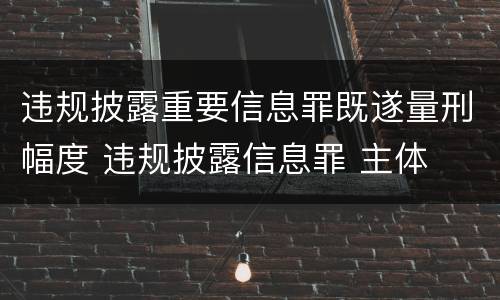 违规披露重要信息罪既遂量刑幅度 违规披露信息罪 主体
