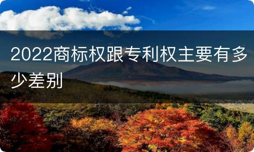2022商标权跟专利权主要有多少差别