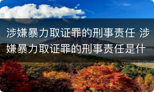 涉嫌暴力取证罪的刑事责任 涉嫌暴力取证罪的刑事责任是什么