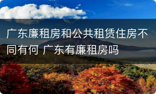 广东廉租房和公共租赁住房不同有何 广东有廉租房吗