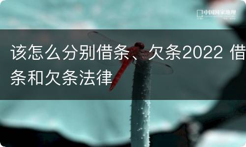 该怎么分别借条、欠条2022 借条和欠条法律