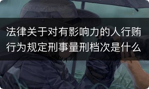 法律关于对有影响力的人行贿行为规定刑事量刑档次是什么