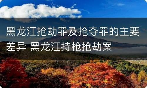 黑龙江抢劫罪及抢夺罪的主要差异 黑龙江持枪抢劫案