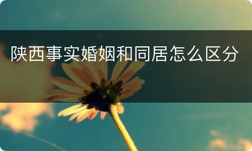 陕西事实婚姻和同居怎么区分