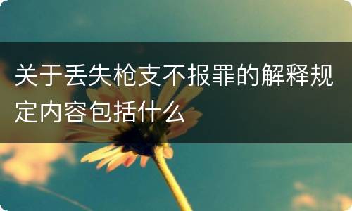 关于丢失枪支不报罪的解释规定内容包括什么