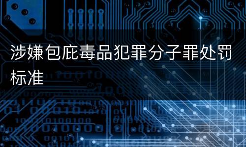 涉嫌包庇毒品犯罪分子罪处罚标准