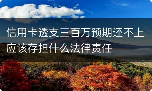 信用卡透支三百万预期还不上应该存担什么法律责任
