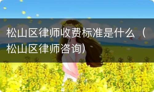 松山区律师收费标准是什么（松山区律师咨询）