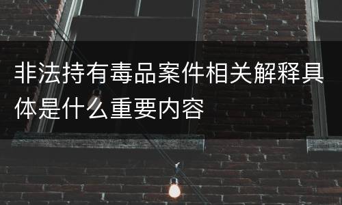 非法持有毒品案件相关解释具体是什么重要内容