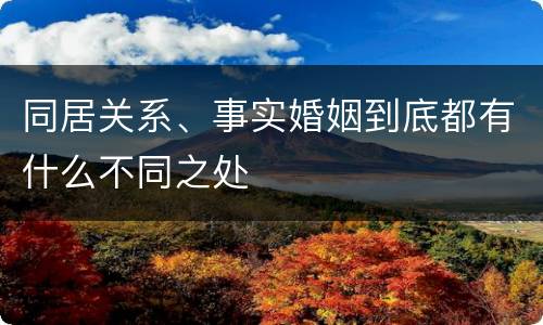 同居关系、事实婚姻到底都有什么不同之处