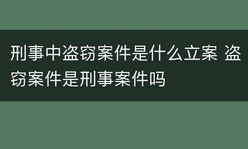 刑事中盗窃案件是什么立案 盗窃案件是刑事案件吗