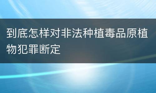 到底怎样对非法种植毒品原植物犯罪断定