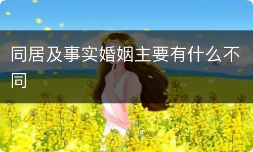 同居及事实婚姻主要有什么不同